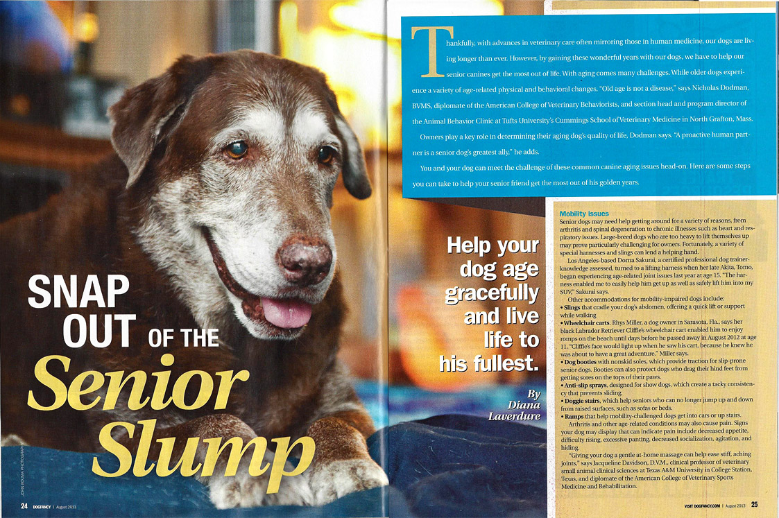 Dog Fancy August 2013 article on senior dogs